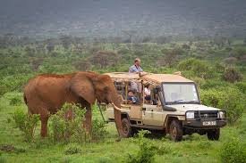 Luxury Safari and Beach Combo